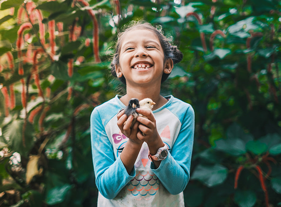 A little girl holds up two baby chicks as she laughs.