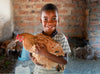 A little boy smiles as he holds a hen in his arms.