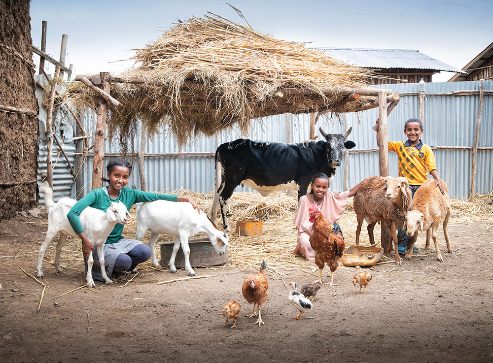 Two girls and a boy are surrounded by farm animals at a stable. The animals include a cow, sheep, goats, and chickens.