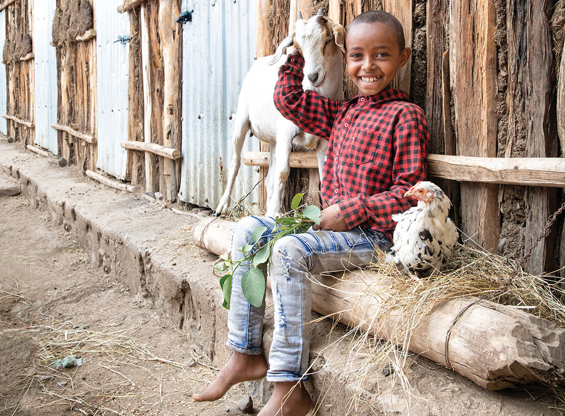A boy sits on a bamboo trunk, petting a goat with his right hand. On his left side is a chicken in a nest.
