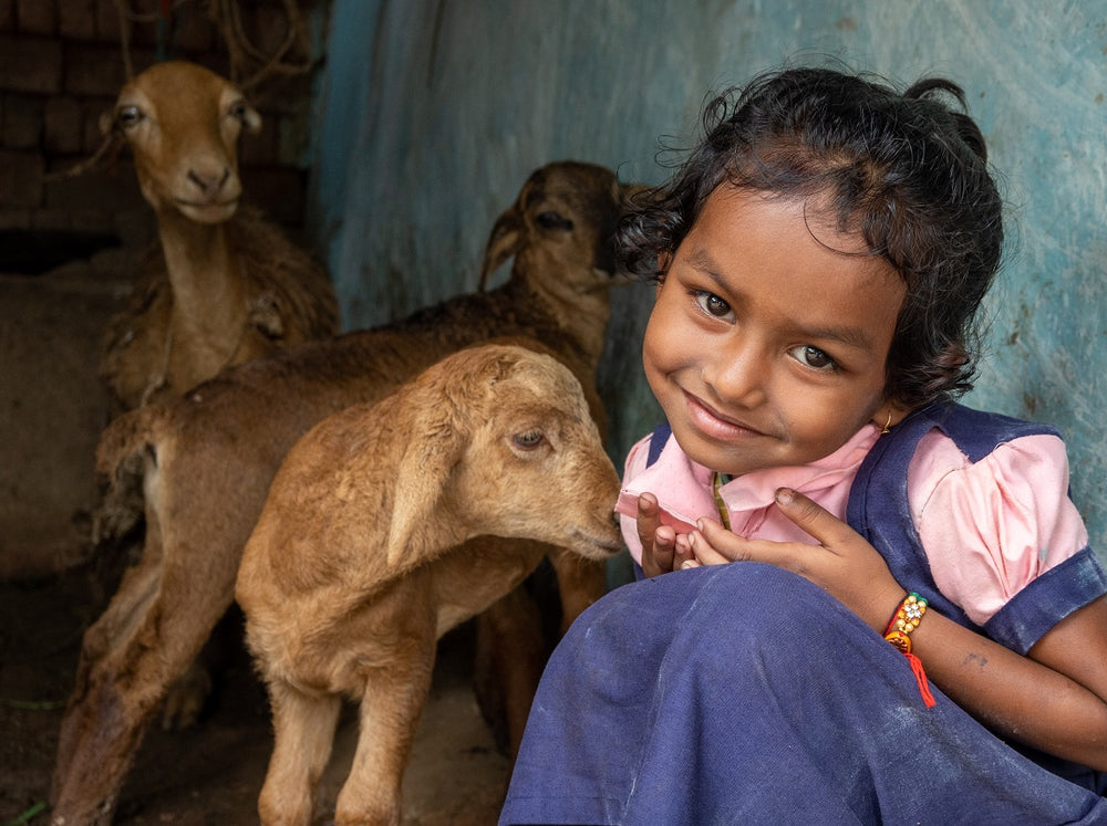 A young girl wearing a blue and pink dress smiles for the camera as she sits beside three small brown lambs.