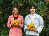 An older woman and an adolescent smile for the camera as they hold bunches of oranges in their hands. They stand in front of several orange trees.