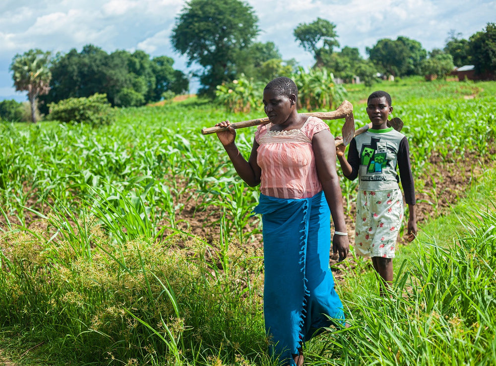 A woman and adolescent  girl walk through a large planted garden, carrying tools.